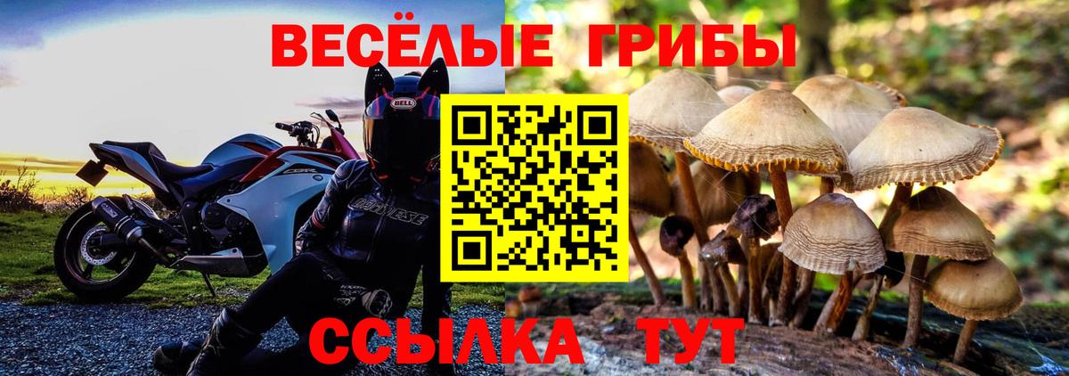 Галлюциногенные грибы Psilocybine cubensis Нижний Тагил